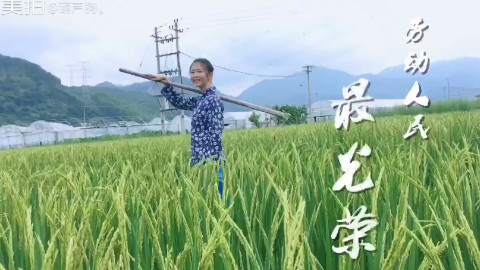夏日解暑佳品绿豆汤